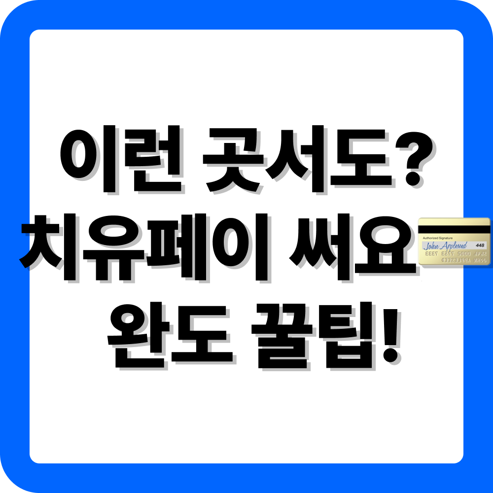 완도 치유페이 가맹점 활용방법