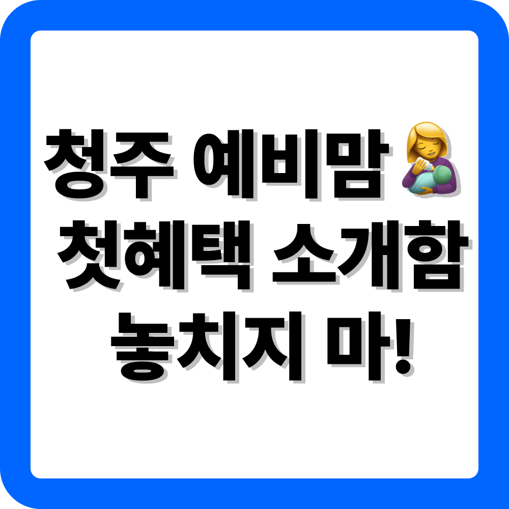 청주 첫만남이용권 소개